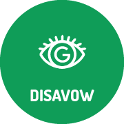 DISAVOW Disavow File Audit